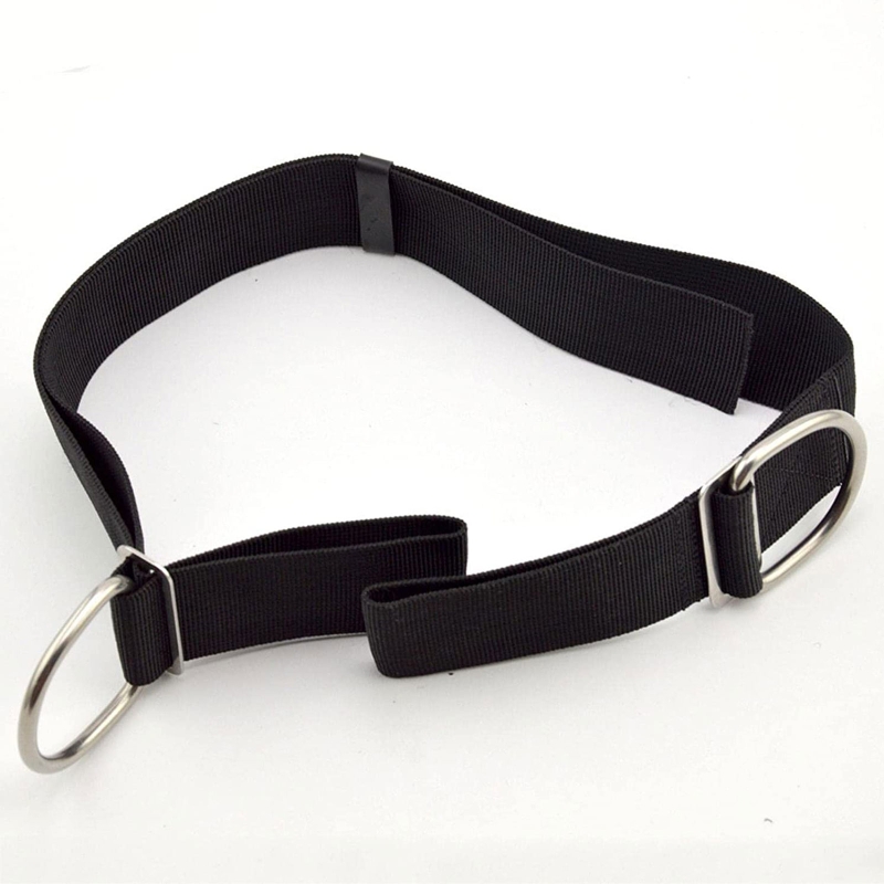 Ayarlanabilir Teknik Dalış Kas - Tech Gear Accessories incelemesi ve fiyatı